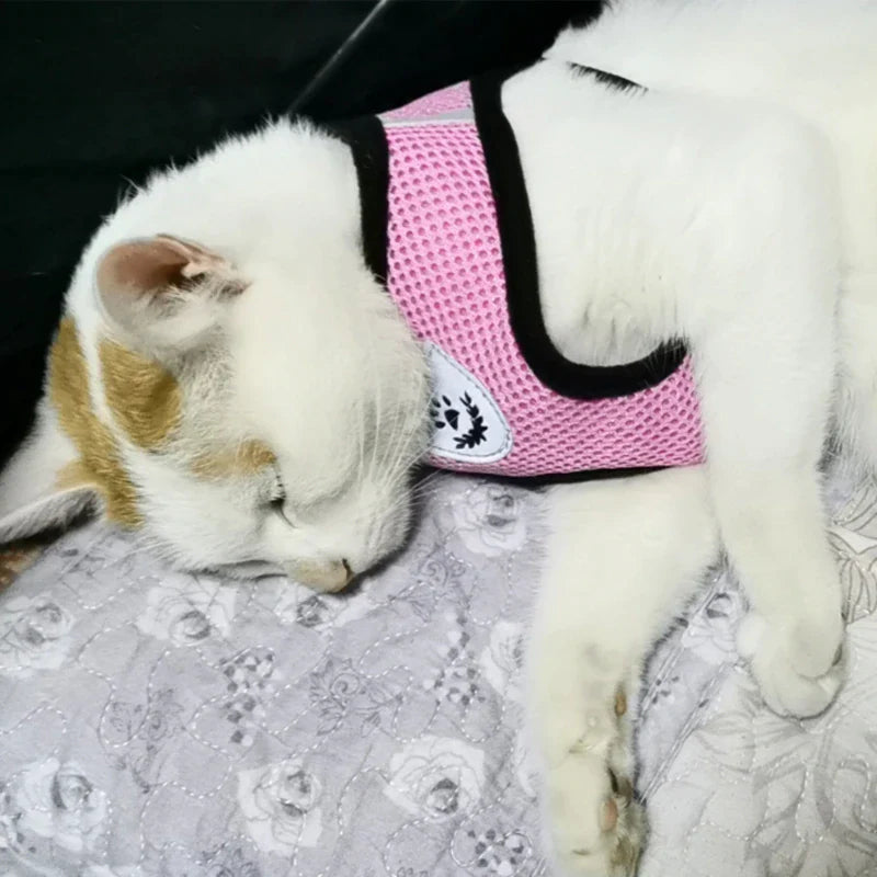 Reflective Harness & Leash Combo – Secure Fit for Small to XL Dogs & Cats