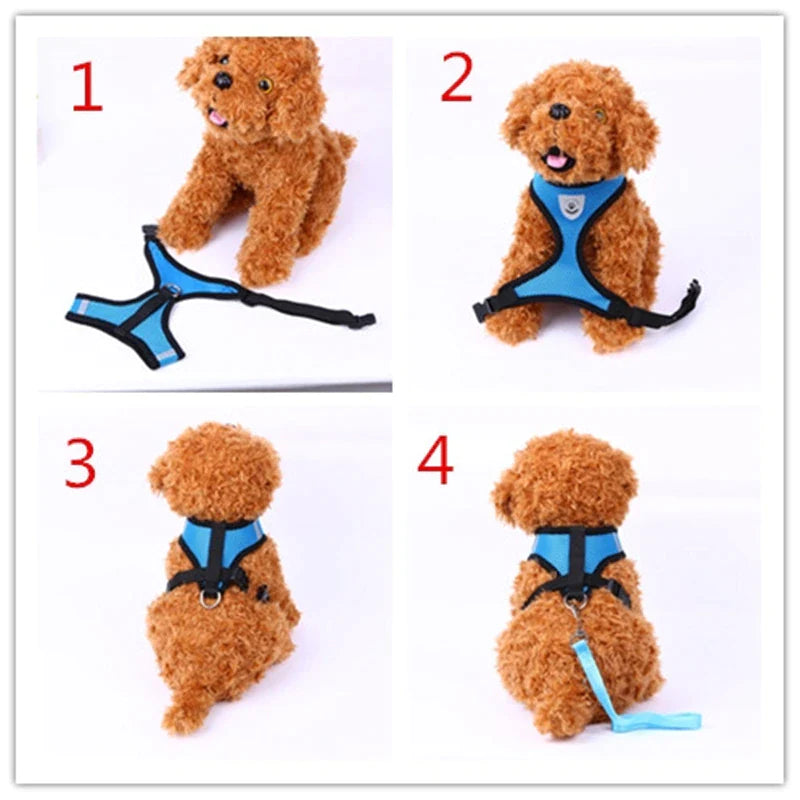 Reflective Harness & Leash Combo – Secure Fit for Small to XL Dogs & Cats