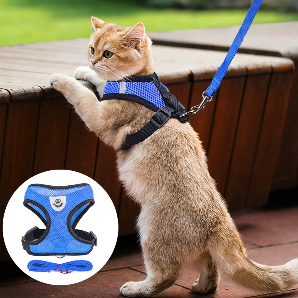 Reflective Harness & Leash Combo – Secure Fit for Small to XL Dogs & Cats