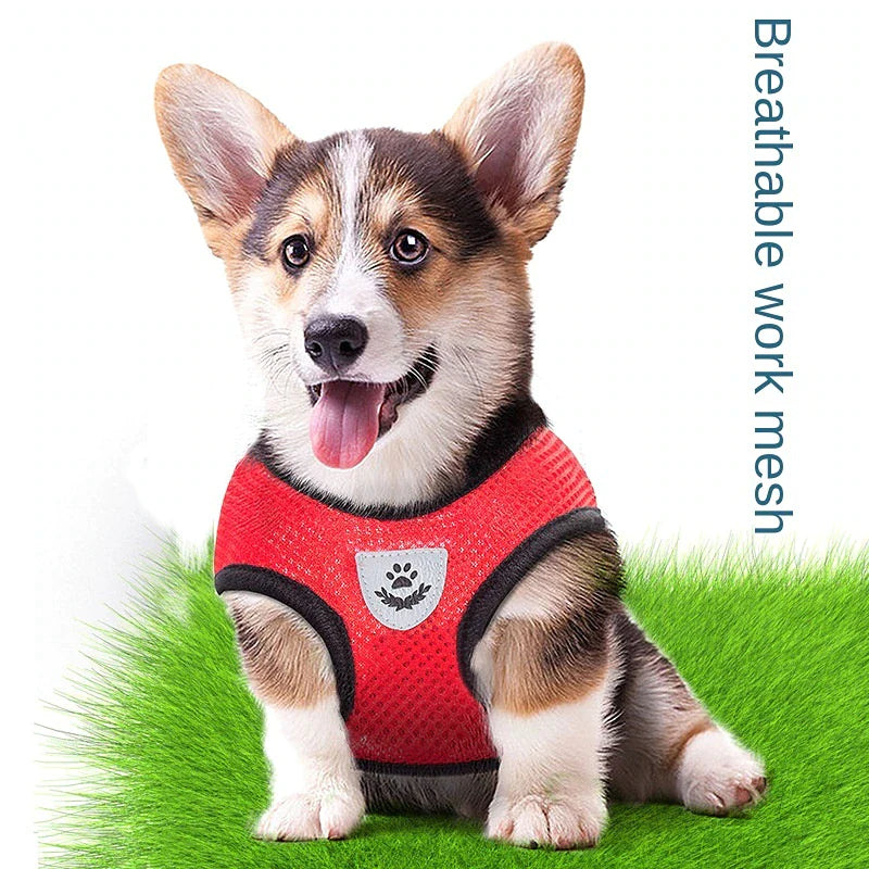 Reflective Harness & Leash Combo – Secure Fit for Small to XL Dogs & Cats
