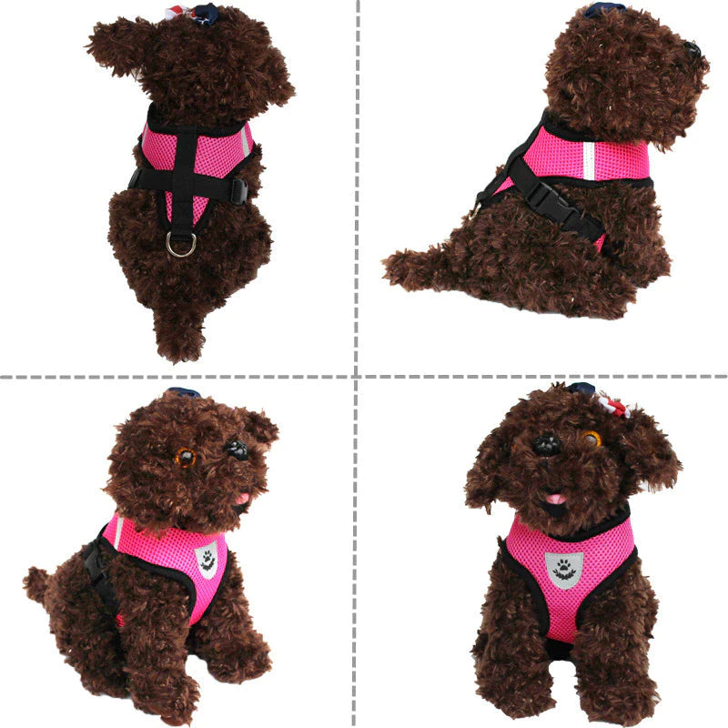 Reflective Harness & Leash Combo – Secure Fit for Small to XL Dogs & Cats
