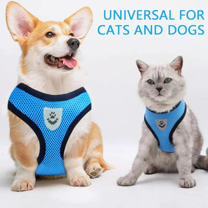 Reflective Harness & Leash Combo – Secure Fit for Small to XL Dogs & Cats