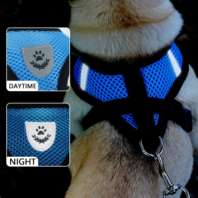 Reflective Harness & Leash Combo – Secure Fit for Small to XL Dogs & Cats