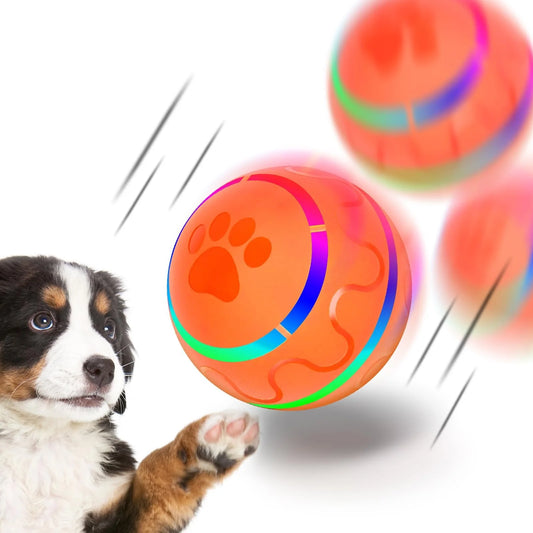 RollBright Interactive Pet Ball – Motion-Activated LED Toy for Small to Medium Dogs, USB Rechargeable